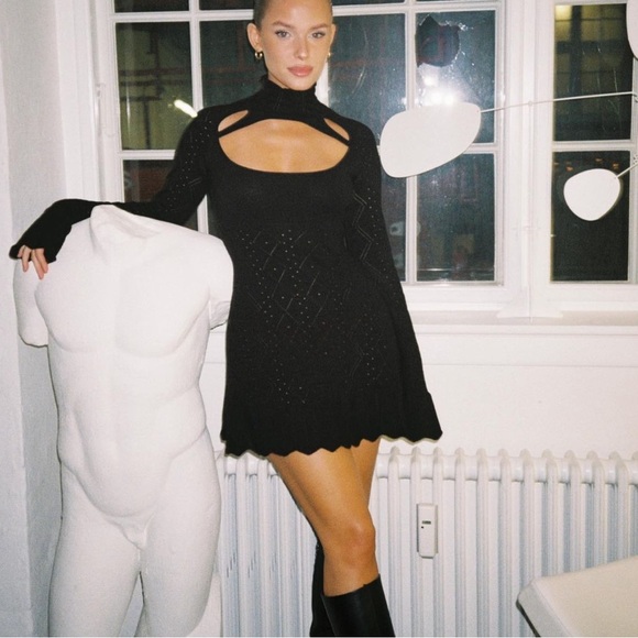 Danielle Guizio Pointelle Knit Turtleneck Dress - Picture 2 of 3